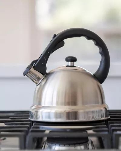 Stainless Steel Whistling Kettle 2.5 L