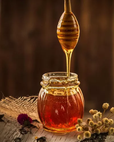 Wild Forest Honey